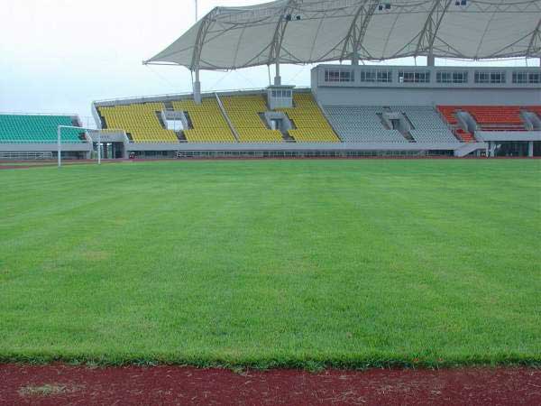 足球場(chǎng)天然草坪 足球場(chǎng)天然草坪