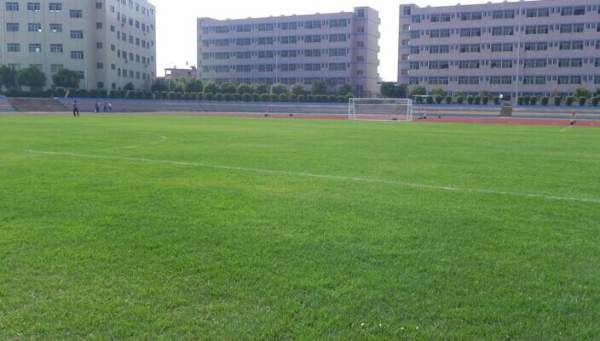 足球場(chǎng)天然草坪 足球場(chǎng)天然草坪