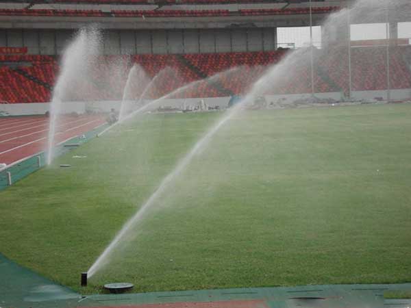 足球場(chǎng)天然草坪 足球場(chǎng)天然草坪