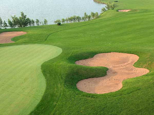 高爾夫球場草坪圖片