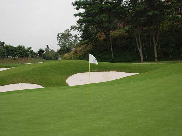 高爾夫球場草坪圖片