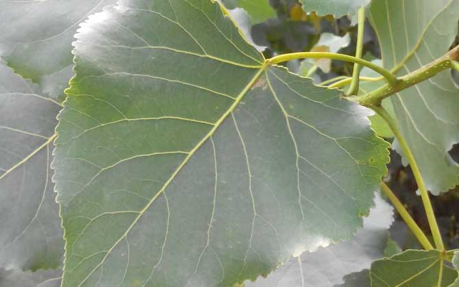 1766023048545257.jpg 20220829110112397.jpg